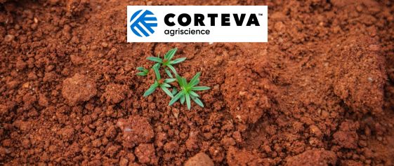 Corteva Unveils Groundbreaking Solution for Ne matode Control and Soil Health Preservati