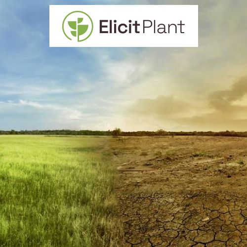 Revolutionizing Agriculture: Elicit Plant’s Cutting-Edge Solutions for Climate Resilience