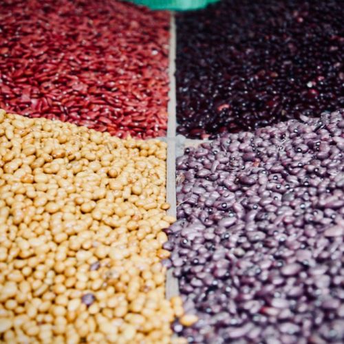 Revitalizing Ancient Grains: Harnessing Sorghum and Millets for a Resilient World in the Climate E