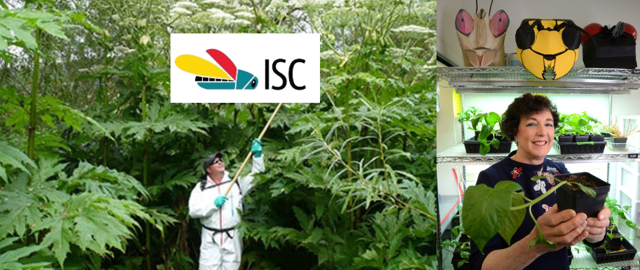 Invasive Species Corp., led by Marrone, secures $2.5 million in pre-seed funding from Silverstrand Capital in Singapore