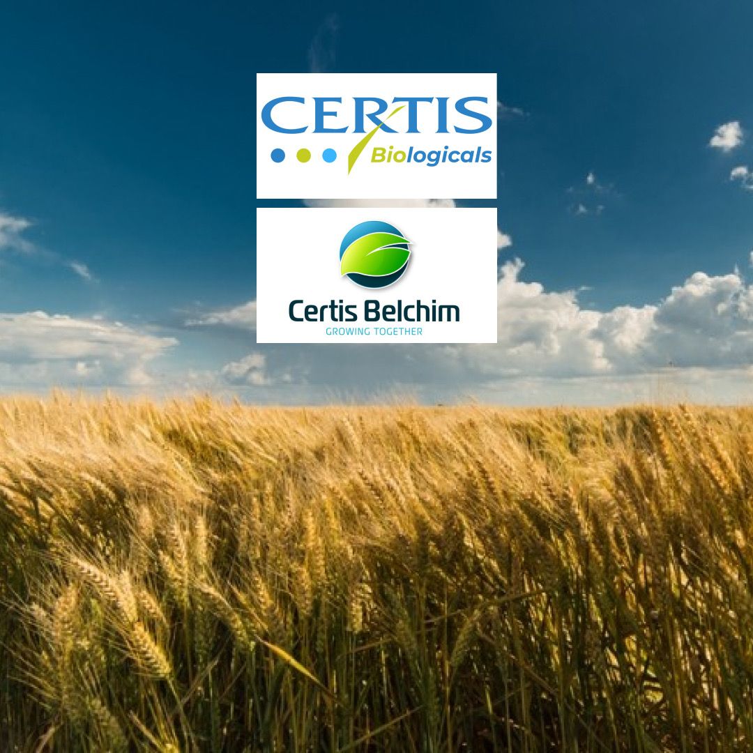 TOLTEK: Groundbreaking Bio-Fungicide for Cereals Seed Treatment ...