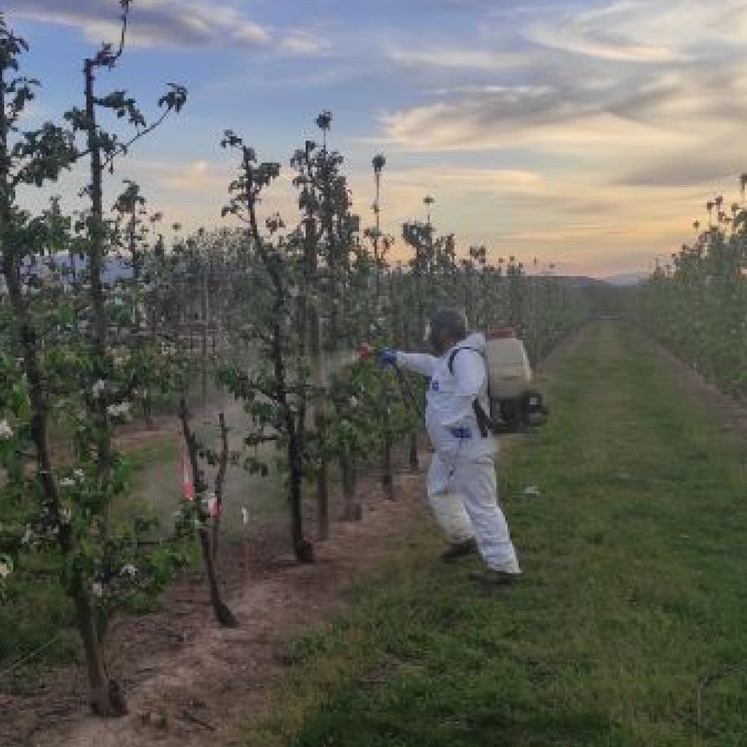 Revolutionary Biopesticide Developed to Combat Fire Blight in Pome Fruit Trees