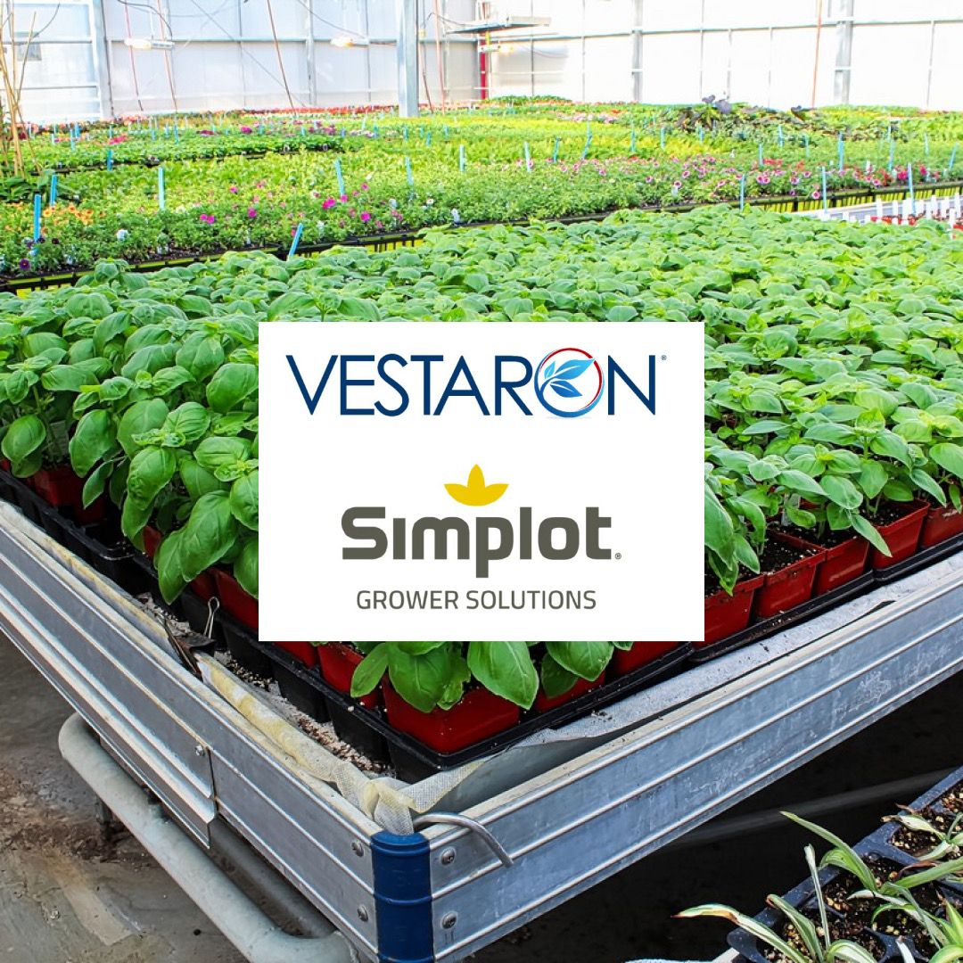 Vestaron and Simplot Grower Solutions forge strategic distribution partnership to deliver novel sustainable solutions for farmers.