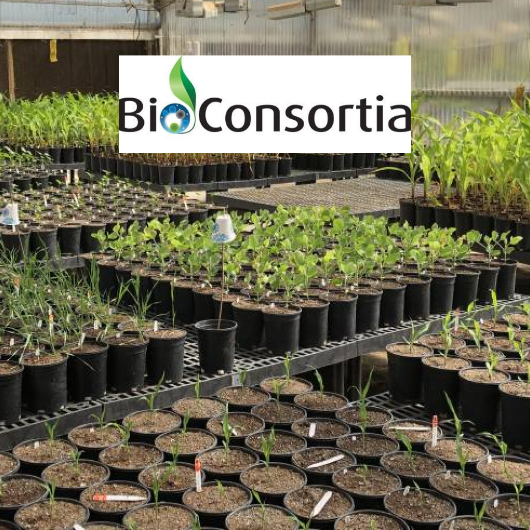 BioConsortia has raised $15 million in its most recent funding round.