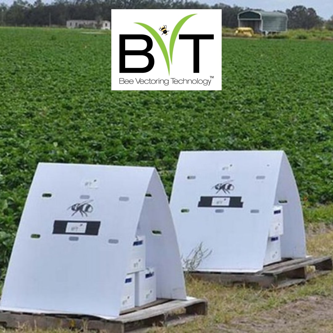 Bee Vectoring Technologies Reports Significant Progress in CR-7 Seed Treatment Development for Agriculture Marketplace