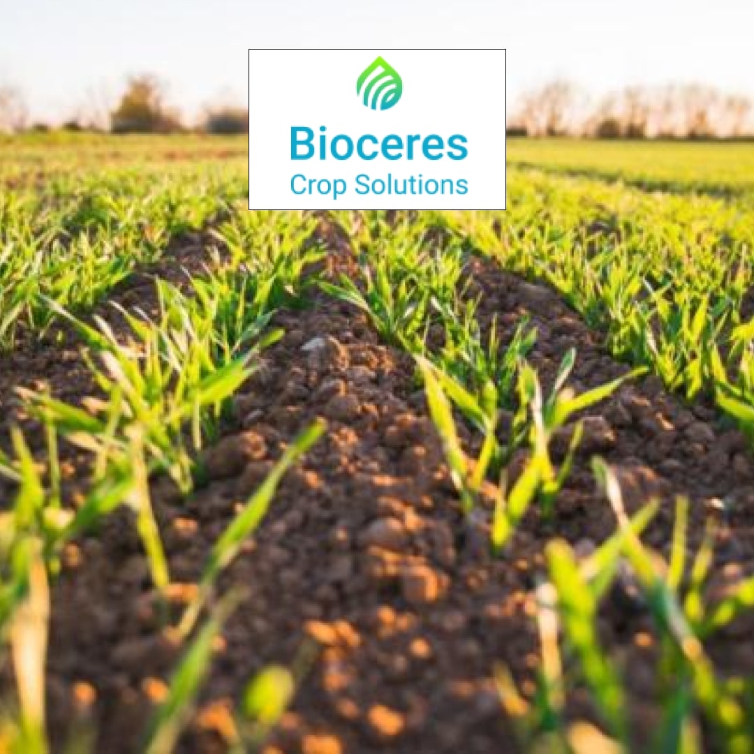 Bioceres Crop Solutions Reports Fiscal Third Quarter 2024 Financial and Operational Results