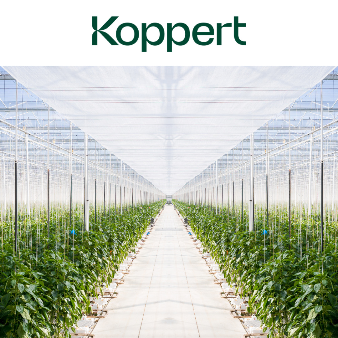 Koppert unveils its Future Forward sustainability strategy