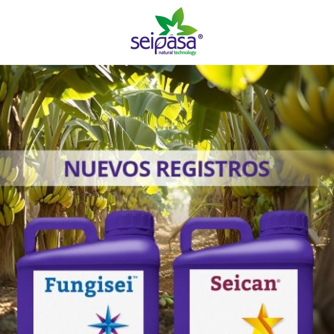 Seipasa strengthens its banana bio-protection strategy