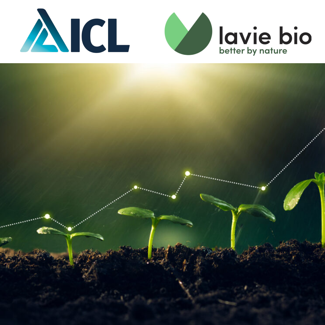 ICL and Lavie Bio Leverage Artificial Intelligence to Make Significant Advancement in Development of Yield Increasing Bio-Stimulants More than one dozen novel microbes identified for row crops suffering from extreme weather conditions