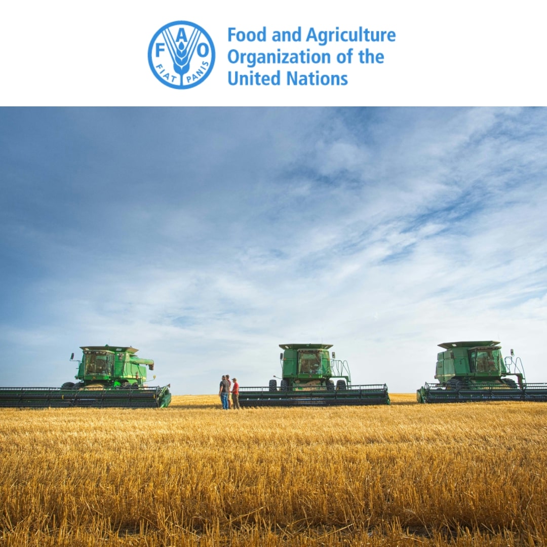 FAO and The Sustainable Development Goals